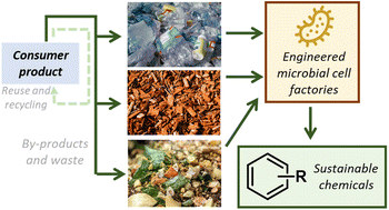 Graphical abstract: Chemical bio-manufacture from diverse C-rich waste polymeric feedstocks using engineered microorganisms