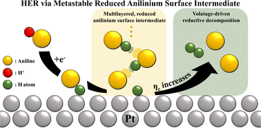 Graphical abstract: Electrochemical anilinium reduction: identifying the metastable surface intermediate on Pt and its voltage-driven decomposition to hydrogen evolution