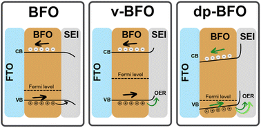 Graphical abstract: Inducing n-type photoanodic behavior in p-type bismuth ferrite via ferroelectric polarization