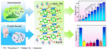 Graphical abstract: Room-temp trace ammonia detection using SnS2 nanosheets@PANI composite: a step towards ultrasensitive environment monitoring and non-invasive renal disease diagnosis