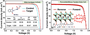 Graphical abstract: A multifunctional additive for enhancing the performance of single-junction perovskite and perovskite/silicon tandem solar cells