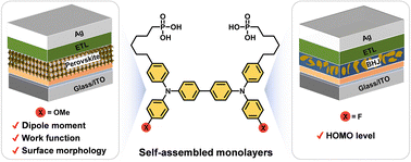 Graphical abstract: Structure–property correlations of tetraphenylbenzidine-based self-assembled monolayers for perovskite and organic solar cells