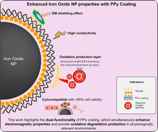 Graphical abstract: Polypyrrole (PPy) coating concentration mediates electromagnetic coupling and oxidative protection for iron oxide core particles in biomedical applications