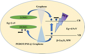 Graphical abstract: A graphene-enhanced PEDOT:PSS/β-Ga2O3 microwire organic–inorganic hybrid heterojunction self-driven photodetector with high light responsivity