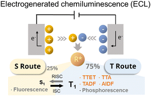 Graphical abstract: Enhancing electrochemiluminescence through triplet state dynamics