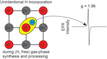 Graphical abstract: Ubiquitous shallow trap states and lattice hydrogenation of ZnO particles