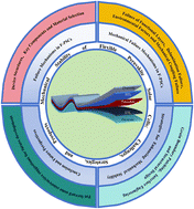 Graphical abstract: Mechanical stability of flexible perovskite solar cells: challenges, strategies, and prospects