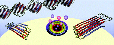 Graphical abstract: Alzheimer's disease: which type of amyloid-preventing drug agents to employ?