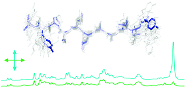 Graphical abstract: Determination of orientations of aromatic groups in self-assembled peptide fibrils by polarised Raman spectroscopy