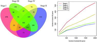Graphical abstract: A system level analysis of gastric cancer across tumor stages with RNA-seq data