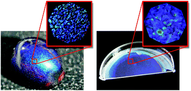 Graphical abstract: Recent advances in the biomimicry of structural colours
