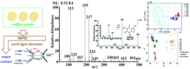 Graphical abstract: Analysis of coffee seed vigor by extractive electrospray ionization mass spectrometry