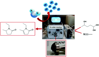 Graphical abstract: Simplifying levulinic acid conversion towards a sustainable biomass valorisation