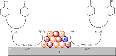 Graphical abstract: Cyclohexanone ammoximation via in situ H2O2 production using TS-1 supported catalysts