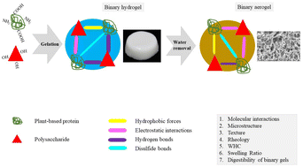 Graphical abstract: How can plant-based protein–polysaccharide interactions affect the properties of binary hydrogels? (A review)