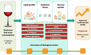 Graphical abstract: Moderate red wine intake and cardiovascular health protection: a literature review