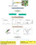 Graphical abstract: Emerging trends and applications of metabolomics in food science and nutrition