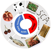 Graphical abstract: Fatty acid isomerism: analysis and selected biological functions