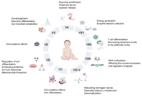 Graphical abstract: The role and impact of abnormal vitamin levels in autism spectrum disorders