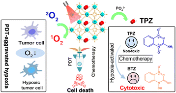Graphical abstract: Recent progress of porphyrin metal–organic frameworks for combined photodynamic therapy and hypoxia-activated chemotherapy