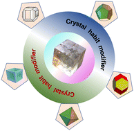 Graphical abstract: Crystal habit modification of sodium chloride using habit modifiers: a dive into more than 50 years of research & development on crystal habit modification of rock-salt crystals
