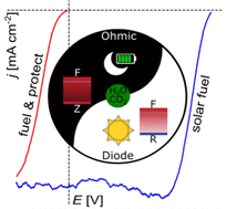 Graphical abstract: Utilizing three-terminal, interdigitated back contact Si solar cells as a platform to study the durability of photoelectrodes for solar fuel production