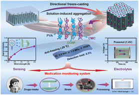 Graphical abstract: Tendon-inspired robust ionic conductive hydrogels with multi-hierarchical structures towards asthmatic patients’ medication monitoring