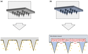 Graphical abstract: Microneedle patch integrated with a pumpless microfluidic chip for heterologous drug delivery