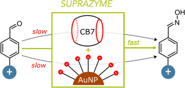 Graphical abstract: Creating a suprazyme: integrating a molecular enzyme mimic with a nanozyme for enhanced catalysis