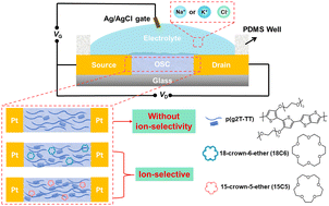Graphical abstract: A facile membraneless method for detecting alkali-metal cations using organic electrochemical transistors