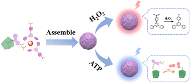 Graphical abstract: Pillararene-based rare-earth luminescent probe for two-channel simultaneous detection of ROS and ATP in living cells
