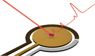 Graphical abstract: Bacterial detection with electrochemical, SERS, and electrochemical SERS sensors