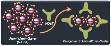 Graphical abstract: Designing of self-assembled supramolecular frameworks for recognition of anion–water clusters: recent highlights
