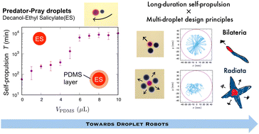 Graphical abstract: Self-propulsion of liquid droplet assemblies controlled by the functionalities of their components