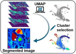 Graphical abstract: Exploring high-dimensional LA-ICP-TOFMS data with uniform manifold approximation and projection (UMAP)