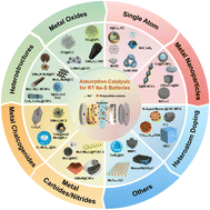 Graphical abstract: Integrated adsorption–catalysis design enabling high-performance sodium–sulfur batteries