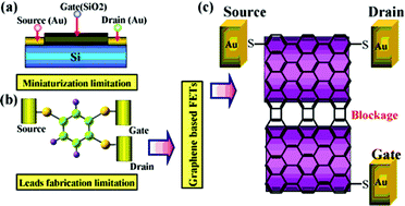 Graphical abstract: Theoretical study of the source-drain current and gate leakage current to understand the graphene field-effect transistors