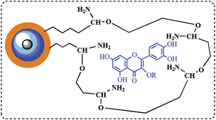 Graphical abstract: Preparation of magnetic molecularly imprinted polymers for separating rutin from Chinese medicinal plants