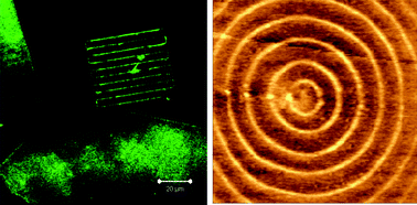 Graphical abstract: Light-directed nanosynthesis: near-field optical approaches to integration of the top-down and bottom-up fabrication paradigms