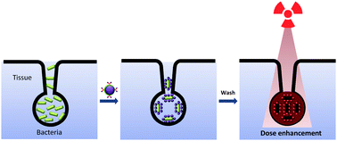 Graphical abstract: Targeted nanoparticles for enhanced X-ray radiation killing of multidrug-resistant bacteria