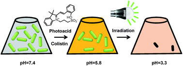 Graphical abstract: Visible light mediated killing of multidrug-resistant bacteria using photoacids