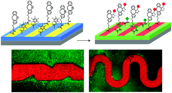 Graphical abstract: Direct grafting of poly(pentafluorophenyl acrylate) onto oxides: versatile substrates for reactive microcapillary printing and self-sorting modification