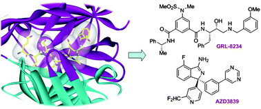 Graphical abstract: BACE1 (β-secretase) inhibitors for the treatment of Alzheimer's disease