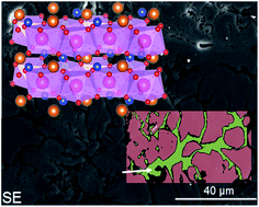 Graphical abstract: Europium partitioning, luminescence re-absorption and quantum efficiency in (Sr,Ca) åkermanite–feldspar bi-phasic glass ceramics