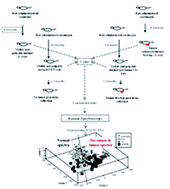 Graphical abstract: A preliminary Raman spectroscopic study of urine: diagnosis of breast cancer in animal models