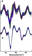 Graphical abstract: Infrared micro-spectroscopy for cyto-pathological classification of esophageal cells