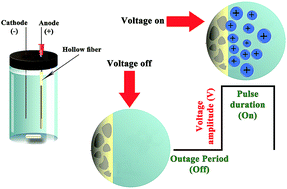 Graphical abstract: Evaluation of pulsed electromembrane extraction for the analysis of diclofenac and mefenamic acid in biological fluids