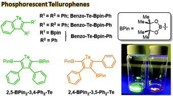 Graphical abstract: Phosphorescence within benzotellurophenes and color tunable tellurophenes under ambient conditions