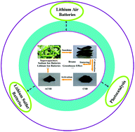 Graphical abstract: Biomass-derived porous carbon materials with sulfur and nitrogen dual-doping for energy storage