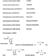 Graphical abstract: Coupled techniques for arsenic speciation in food and drinking water: a review